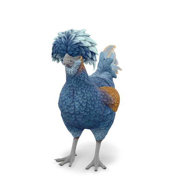 CS2 Polish chicken — Blue