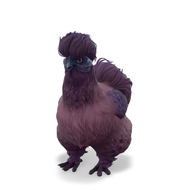 CS2 Silkie chicken — Purple