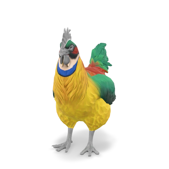 CS2 Catalana chicken — Yellow and Red