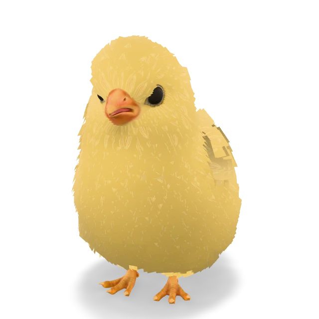 CS2 Pet Chick pet