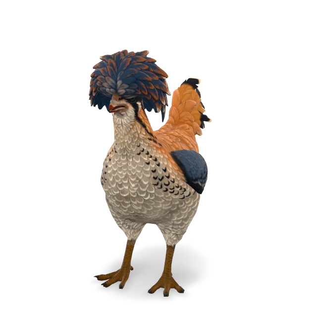CS2 Polish chicken — Orange White Blue