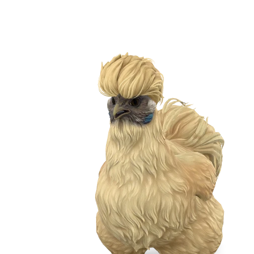 CS2 Silkie chicken — Leopard