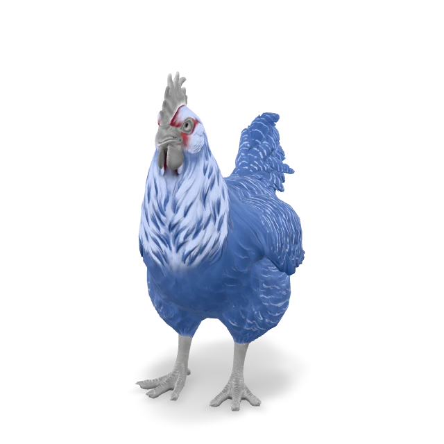 CS2 Catalana chicken — Blue