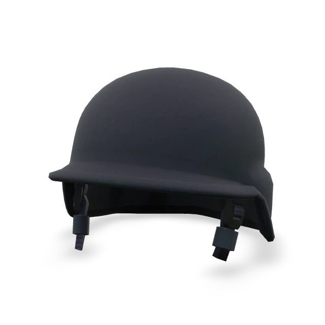 CS2 pet photo booth Helmet