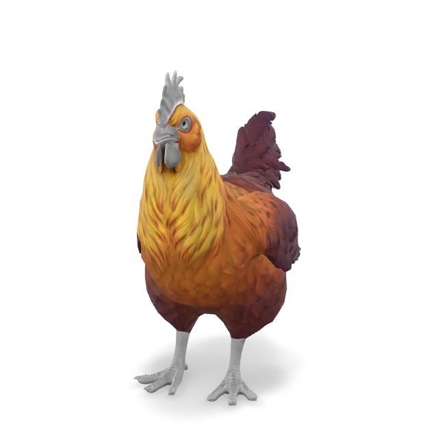 CS2 Catalana chicken — Yellow Red Gradient