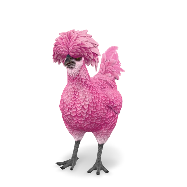 CS2 Polish chicken — Pink