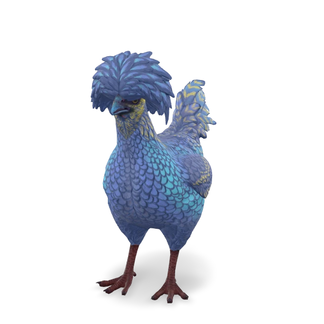 CS2 Polish chicken — Blue Yellow