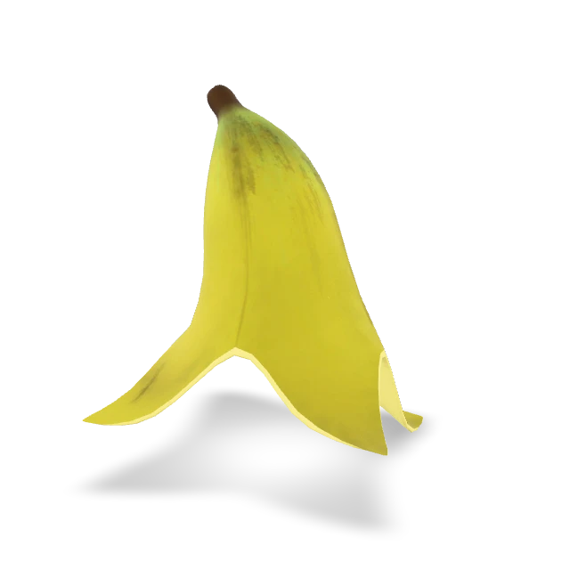 CS2 pet photo booth Banana