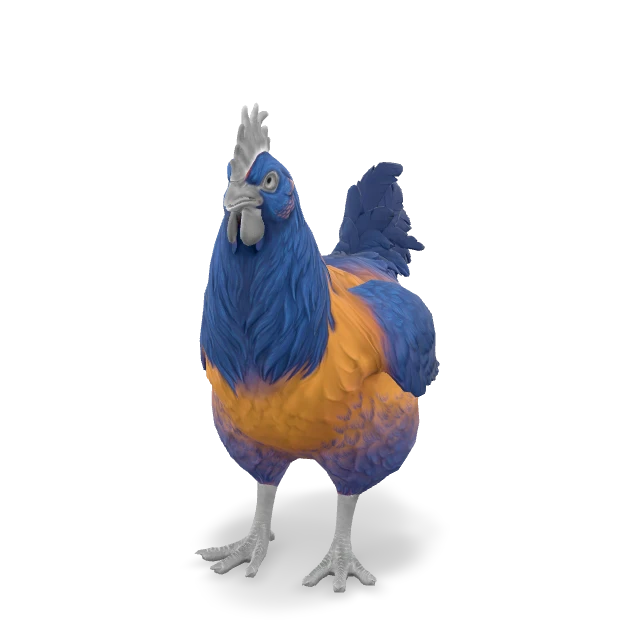 CS2 Catalana chicken — Orange Blue Neck