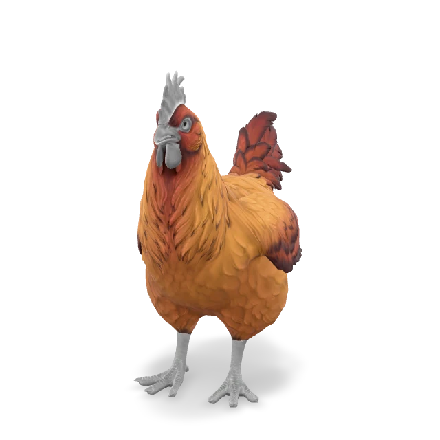 CS2 Catalana chicken — Dark Orange