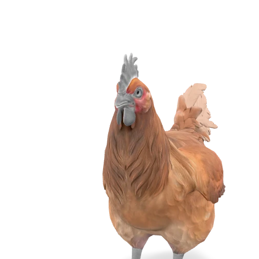 CS2 Catalana pet