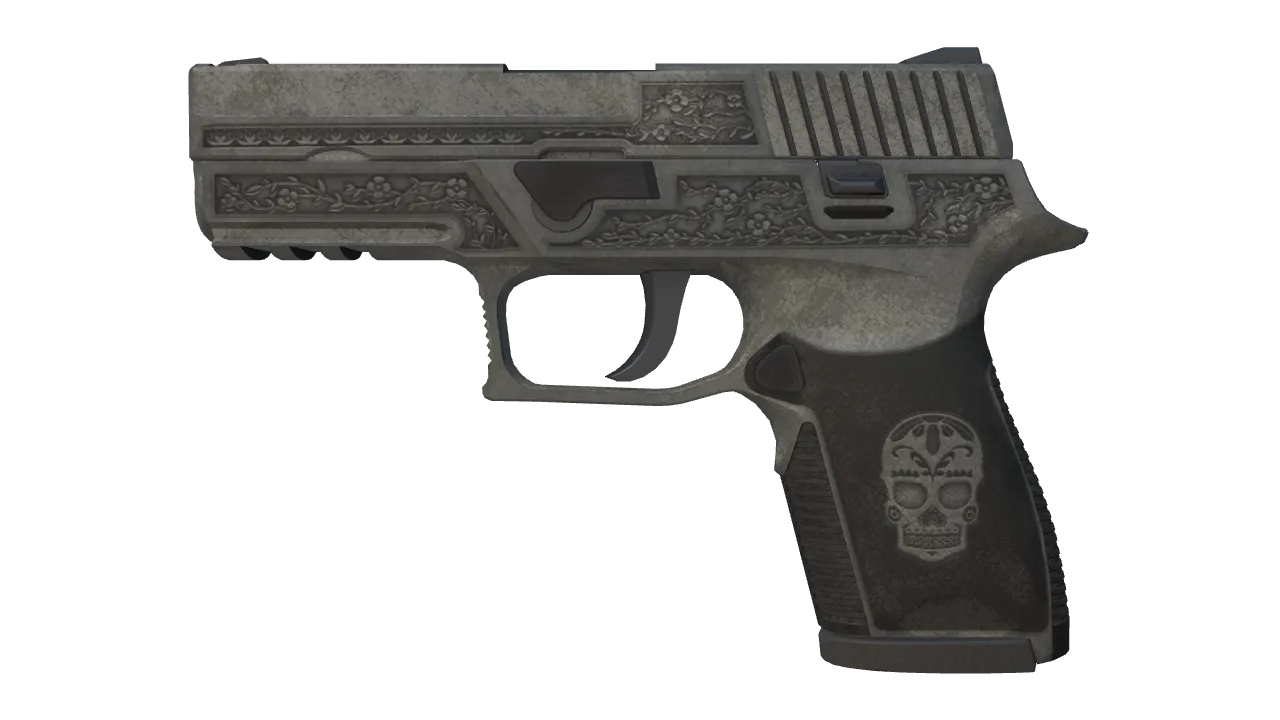 P250 | Cartel (Battle-Scarred) — Dust II light, front