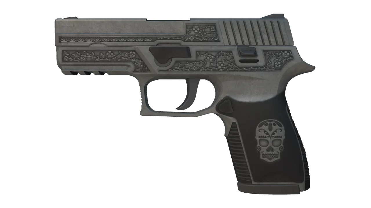 P250 | Cartel (Field-Tested) — Dust II light, front