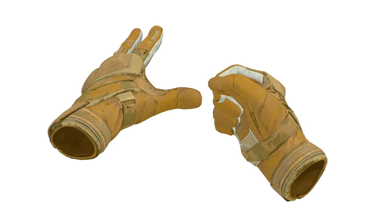 ★ Moto Gloves | Transport (Field-Tested) — Dust II light, front