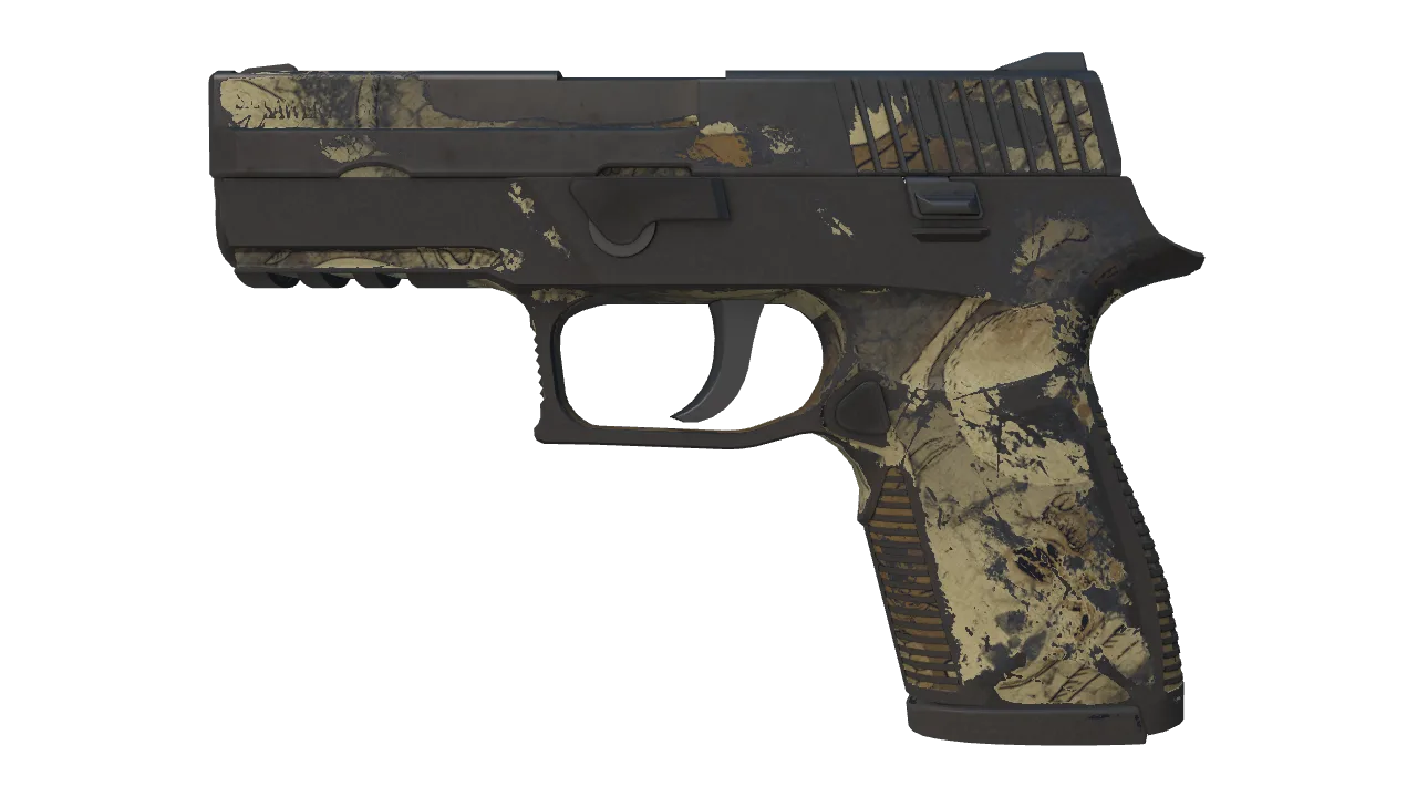P250 | Contamination (Battle-Scarred) — Dust II light, front