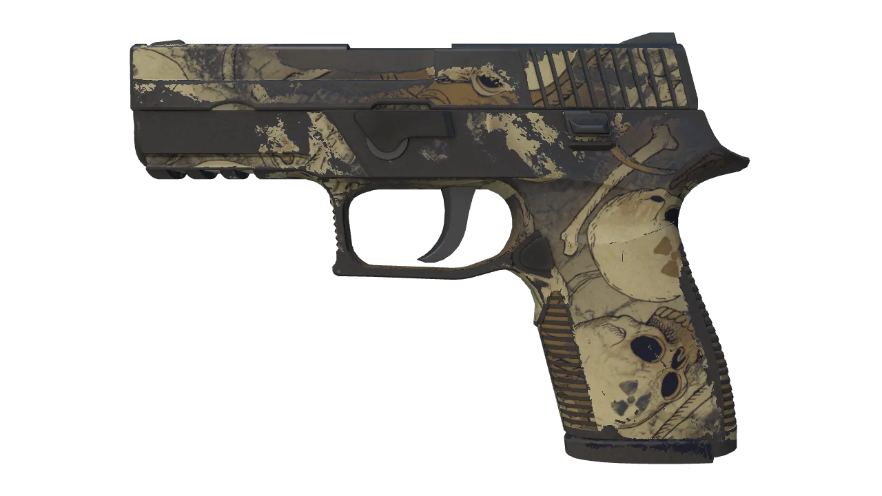 P250 | Contamination (Well-Worn) — Dust II light, front