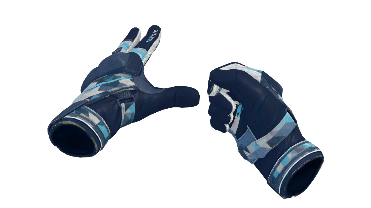 ★ Moto Gloves | Cool Mint (Field-Tested) — Dust II light, front