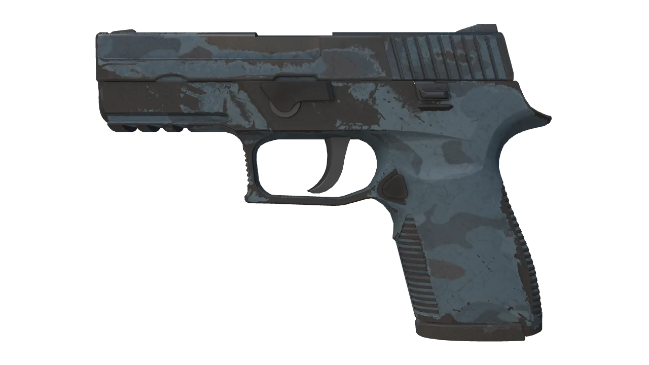 P250 | Forest Night (Well-Worn) — Dust II light, front