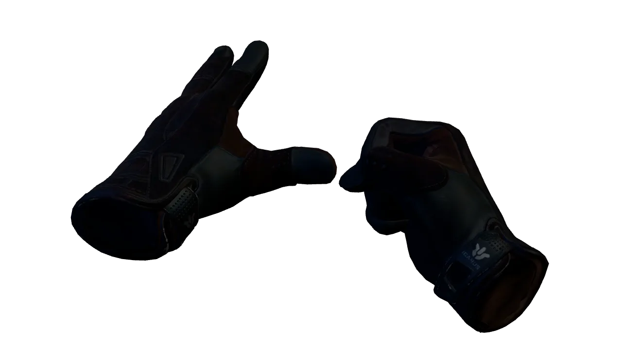 Sport Gloves | Nocts seed #779, front