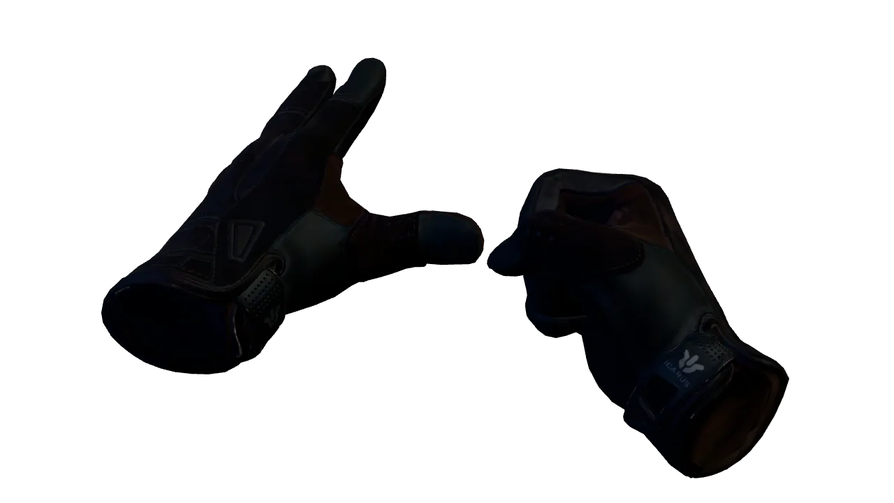 Sport Gloves | Nocts seed #784, front