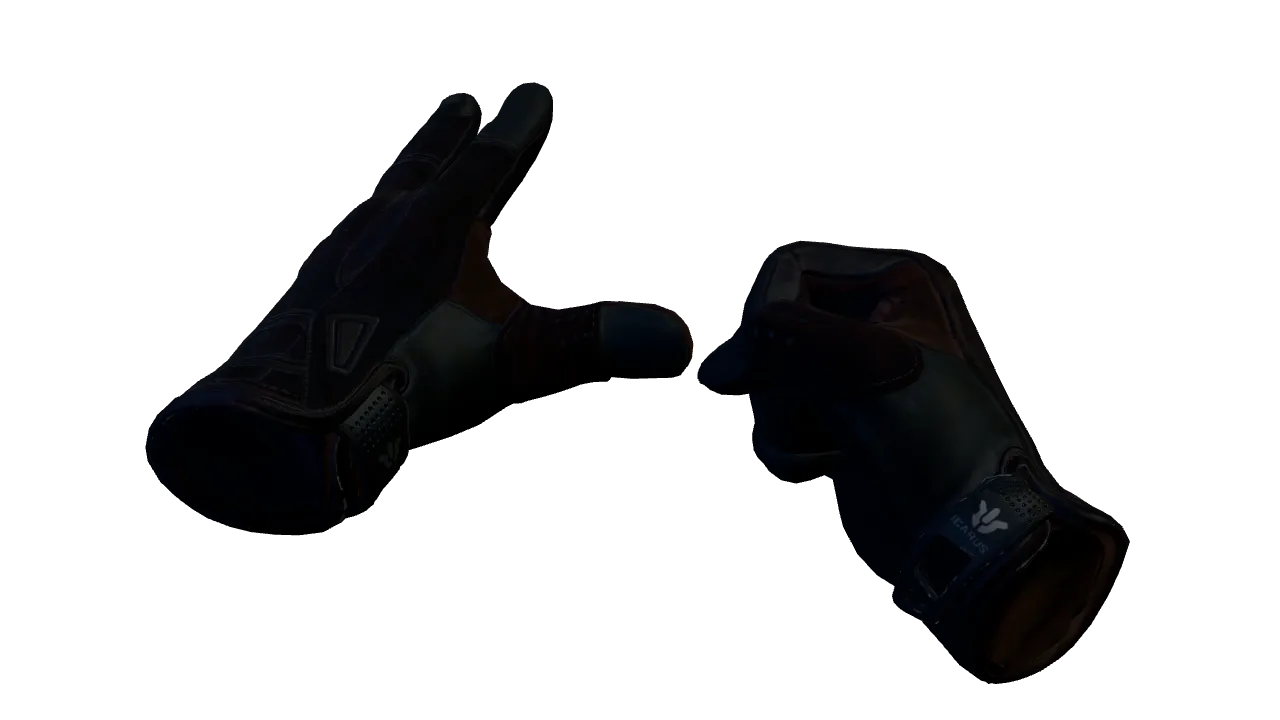 Sport Gloves | Nocts seed #945, front