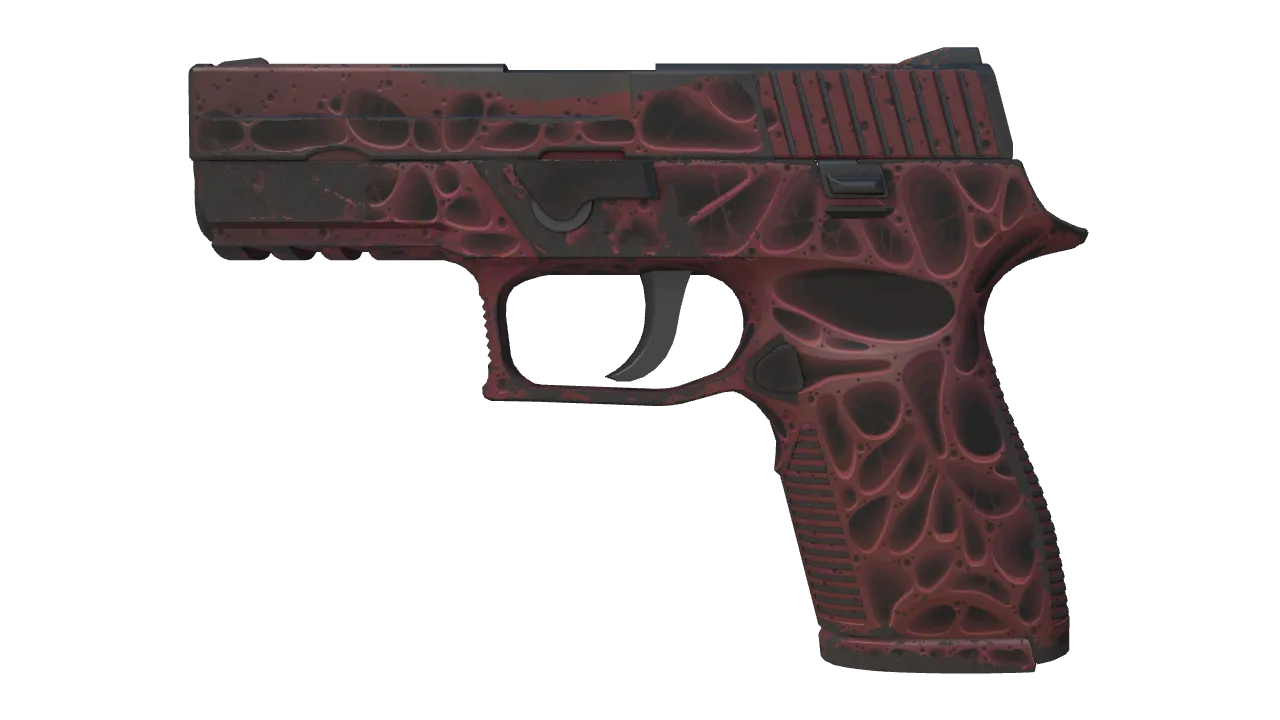 P250 | Contaminant (Well-Worn) — Dust II light, front