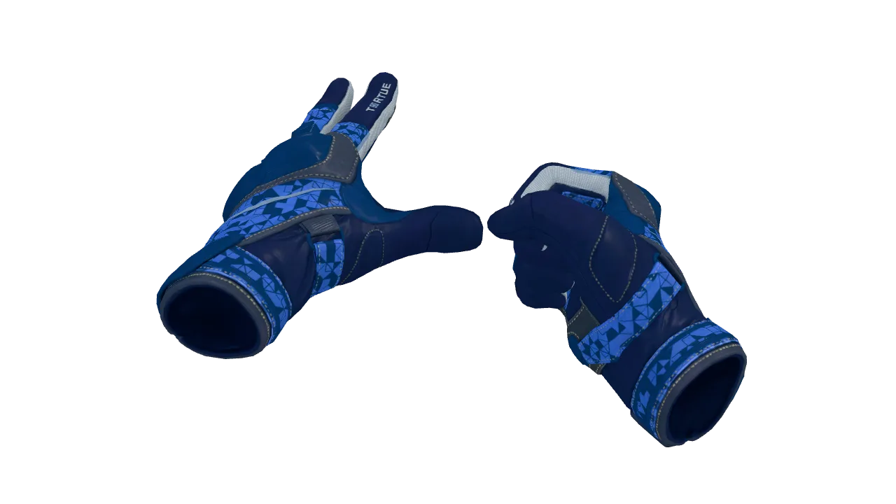 ★ Moto Gloves | Polygon (Factory New) — Dust II light, front
