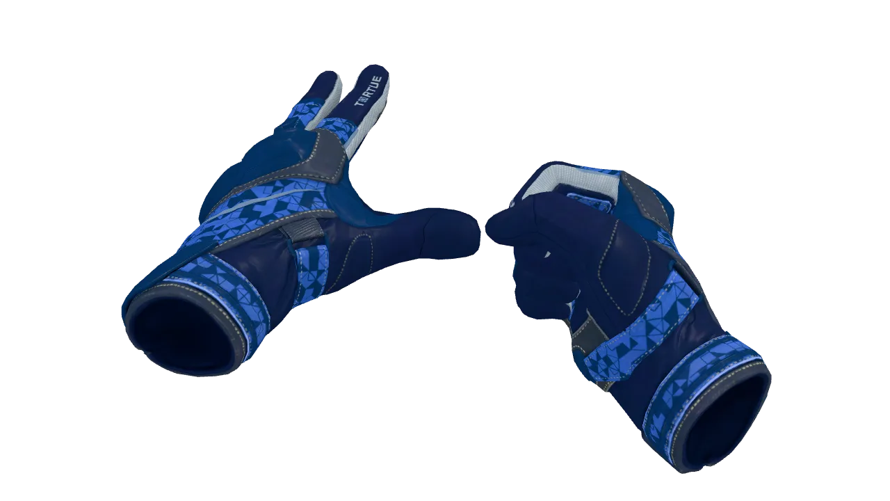 ★ Moto Gloves | Polygon (Minimal Wear) — Dust II light, front