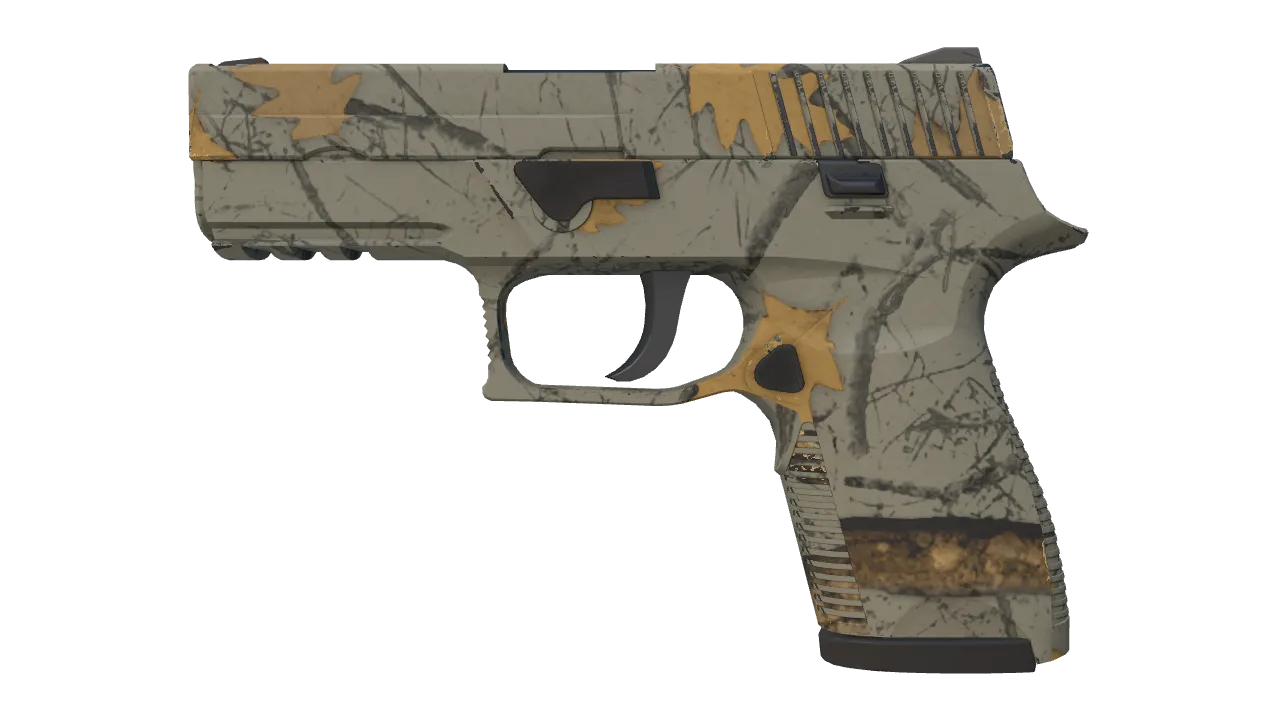 P250 | Modern Hunter (Factory New) — Dust II light, front