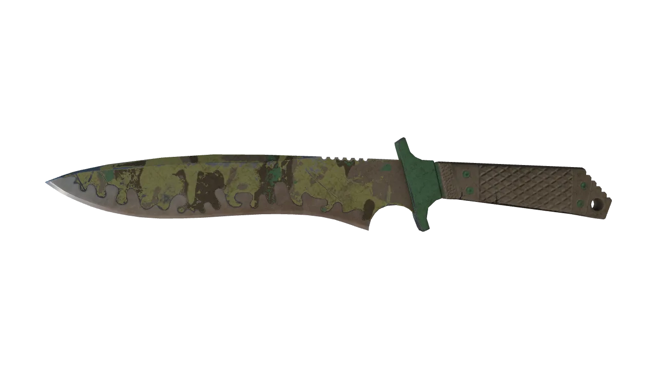 ★ Classic Knife | Boreal Forest (Battle-Scarred) — Dust II light, front