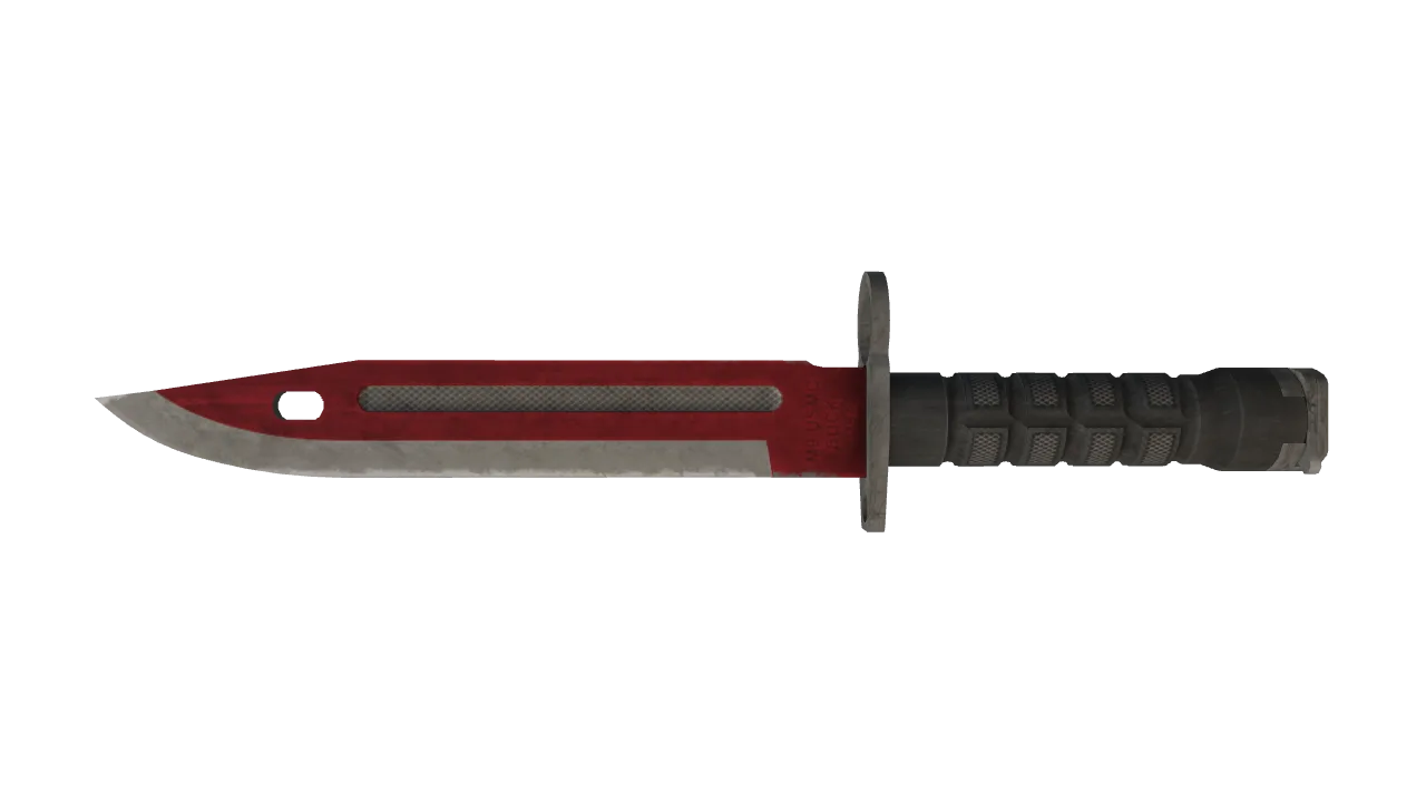 ★ Bayonet | Autotronic (Battle-Scarred) — Dust II light, front