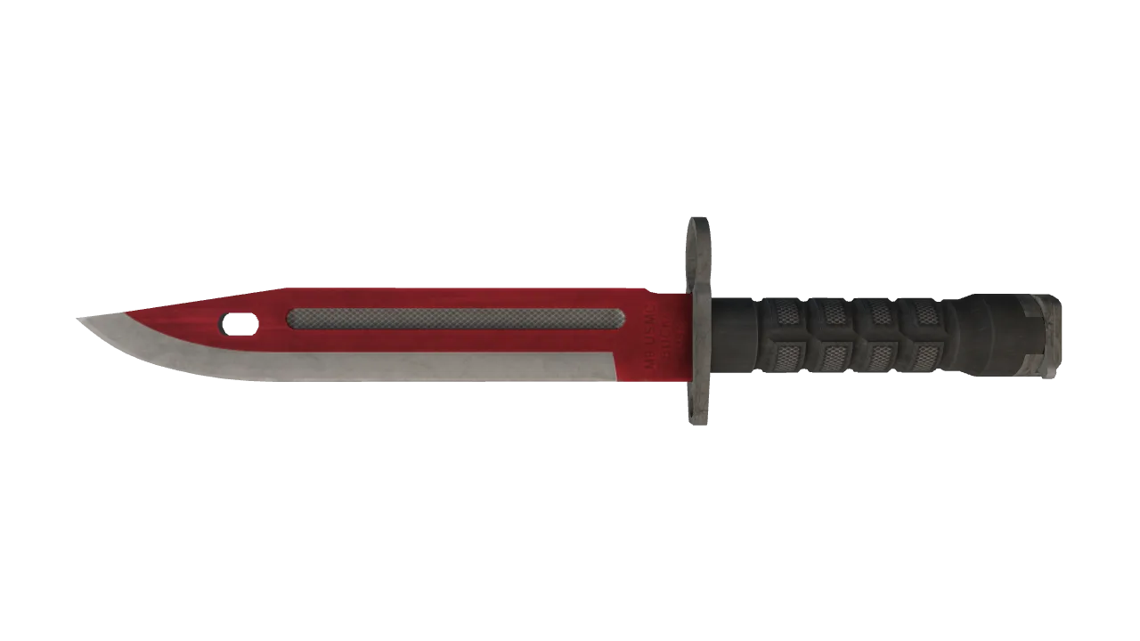 ★ Bayonet | Autotronic (Well-Worn) — Dust II light, front