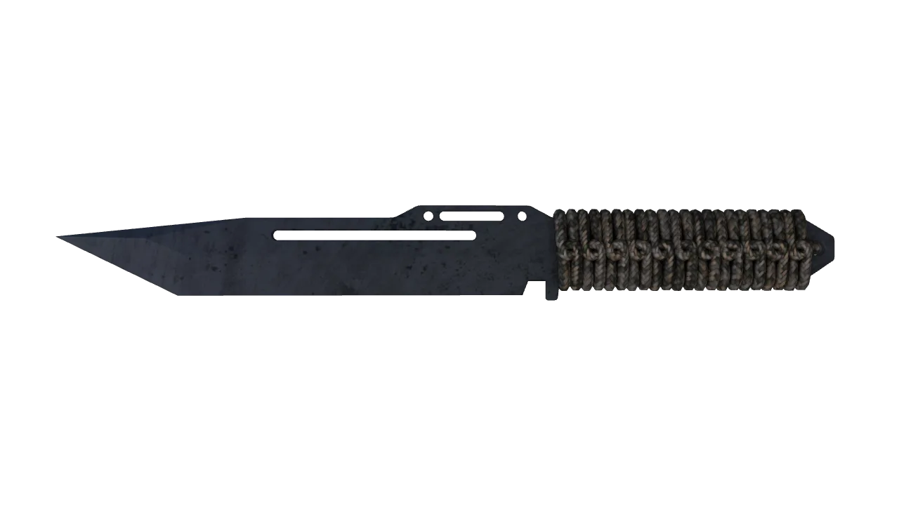 ★ Paracord Knife | Blue Steel (Well-Worn) — Dust II light, front