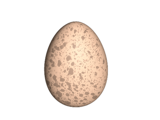 CS2 Chicken Egg inventory icon